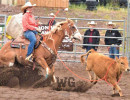 chute out rodeo wildgrass